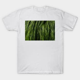 Tall Grass T-Shirt